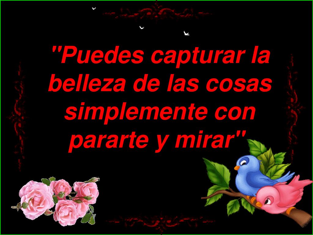 Puedes capturar la belleza de las cosas simplemente con pararte y mirar