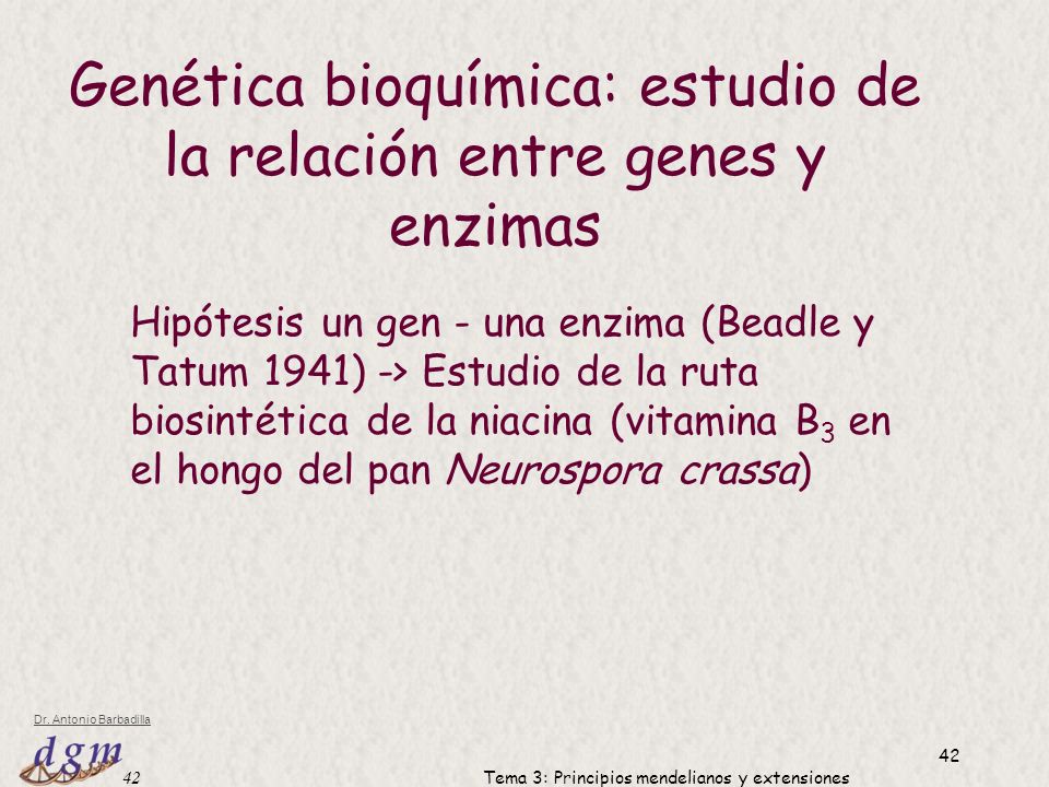 Genética bioquímica: estudio de la relación entre genes y enzimas