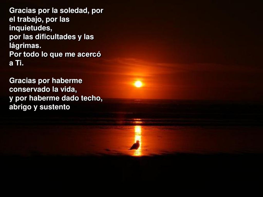 Gracias por la soledad, por el trabajo, por las inquietudes,