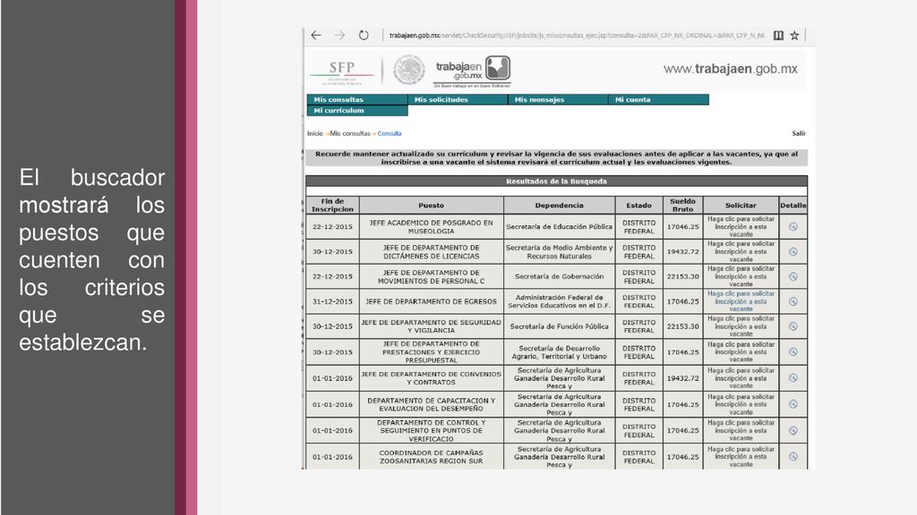 El buscador mostrará los puestos que cuenten con los criterios que se establezcan.