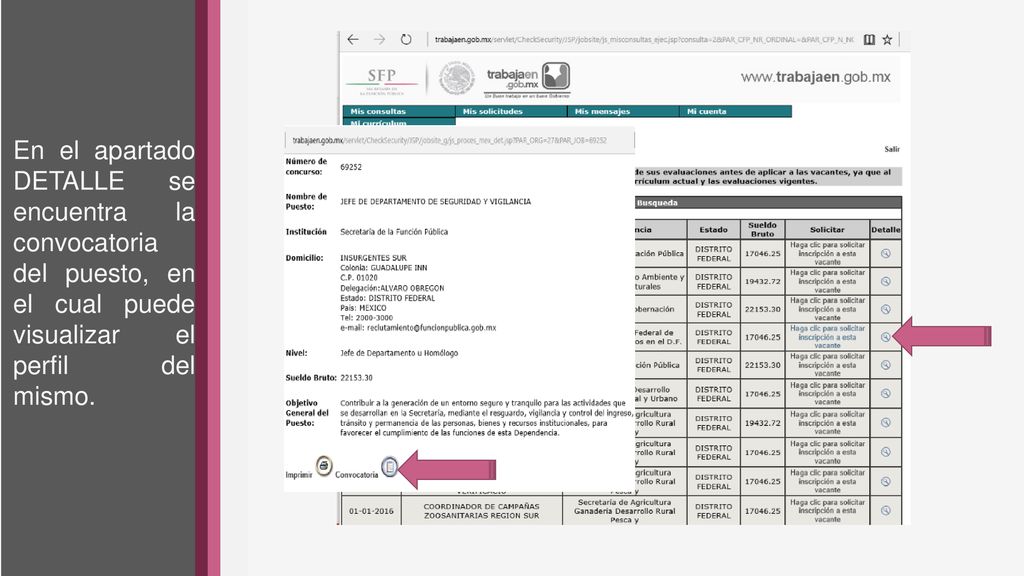 En el apartado DETALLE se encuentra la convocatoria del puesto, en el cual puede visualizar el perfil del mismo.