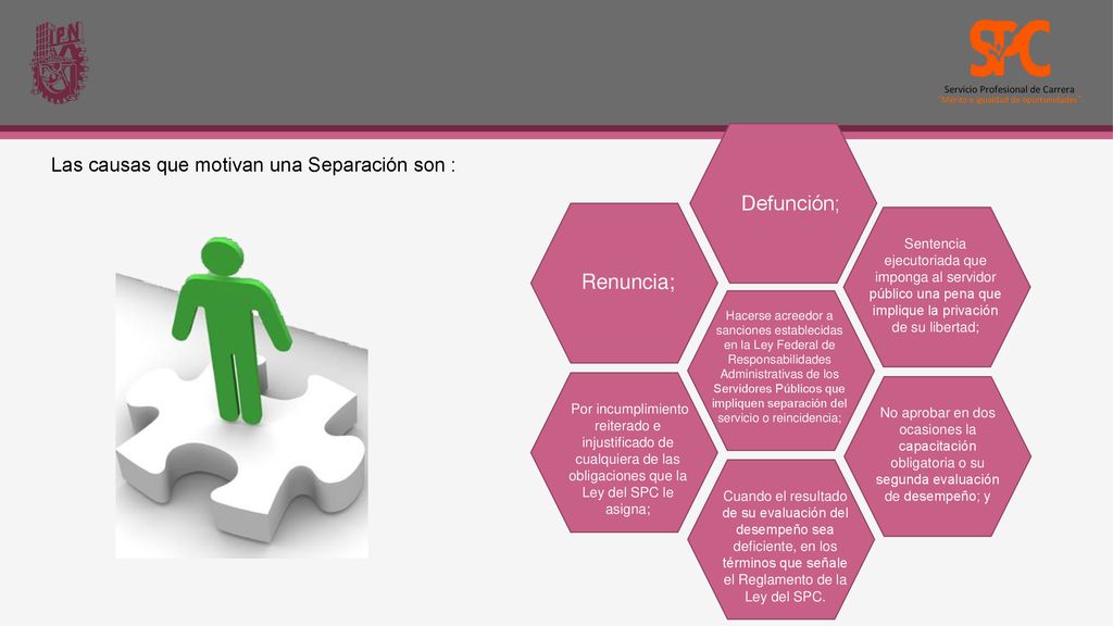 Defunción; Renuncia; Las causas que motivan una Separación son :