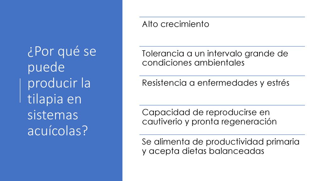 ¿Por qué se puede producir la tilapia en sistemas acuícolas