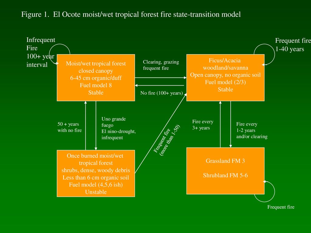Figure 1. El Ocote moist/wet tropical forest fire state-transition model
