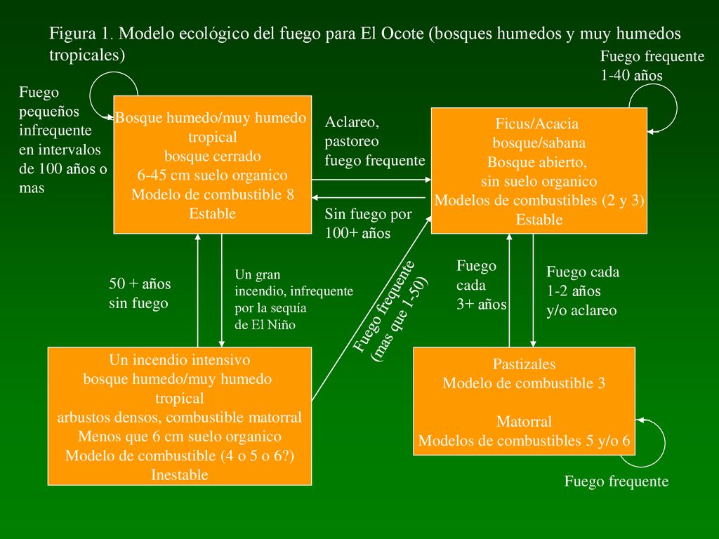 Figura 1. Modelo ecológico del fuego para El Ocote (bosques humedos y muy humedos tropicales)