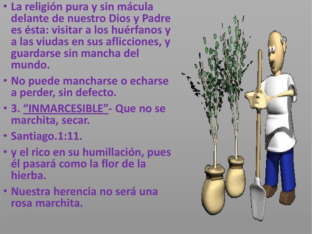 La religión pura y sin mácula delante de nuestro Dios y Padre es ésta: visitar a los huérfanos y a las viudas en sus aflicciones, y guardarse sin mancha del mundo.