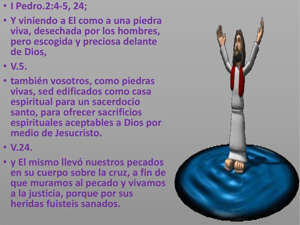 I Pedro.2:4-5, 24; Y viniendo a El como a una piedra viva, desechada por los hombres, pero escogida y preciosa delante de Dios,