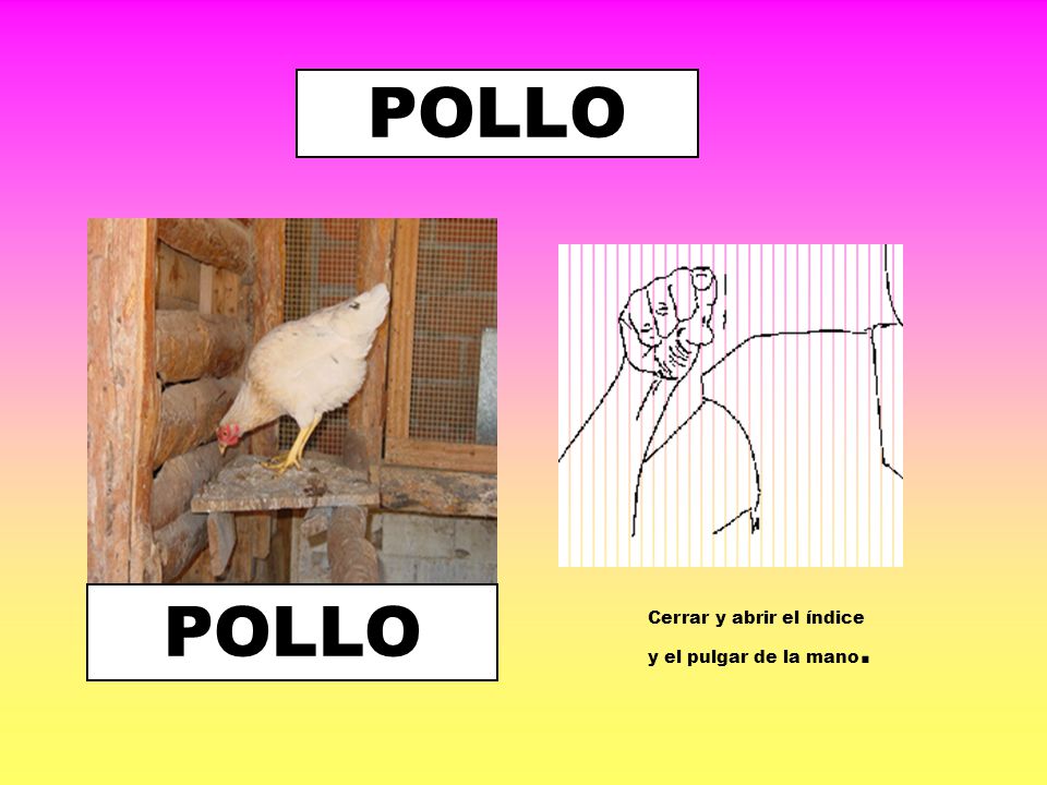 POLLO POLLO Cerrar y abrir el índice y el pulgar de la mano.