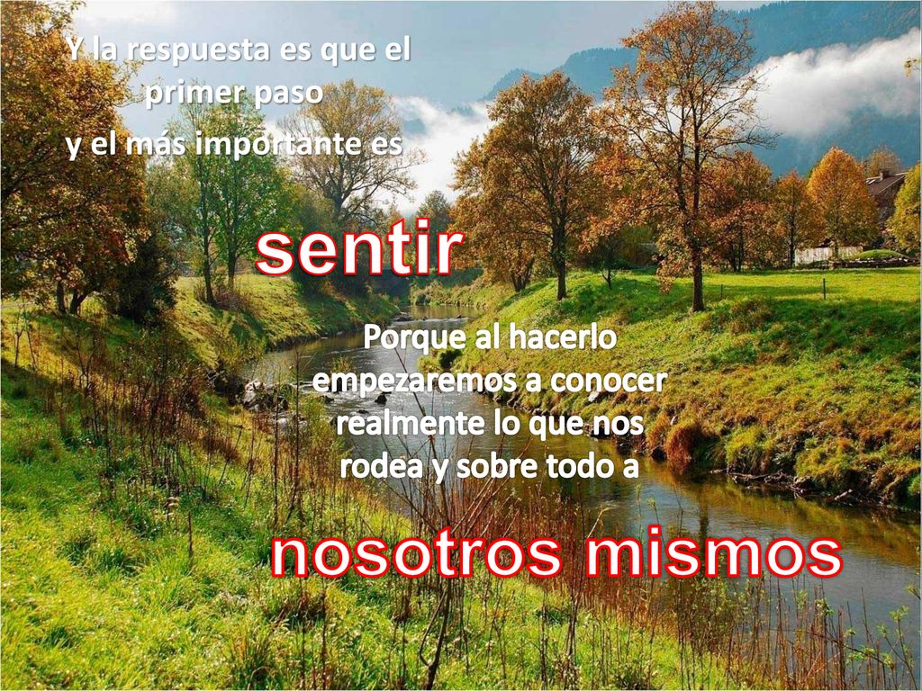 Y la respuesta es que el primer paso y el más importante es