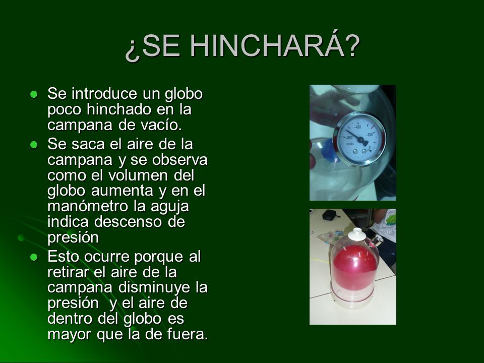 ¿SE HINCHARÁ Se introduce un globo poco hinchado en la campana de vacío.