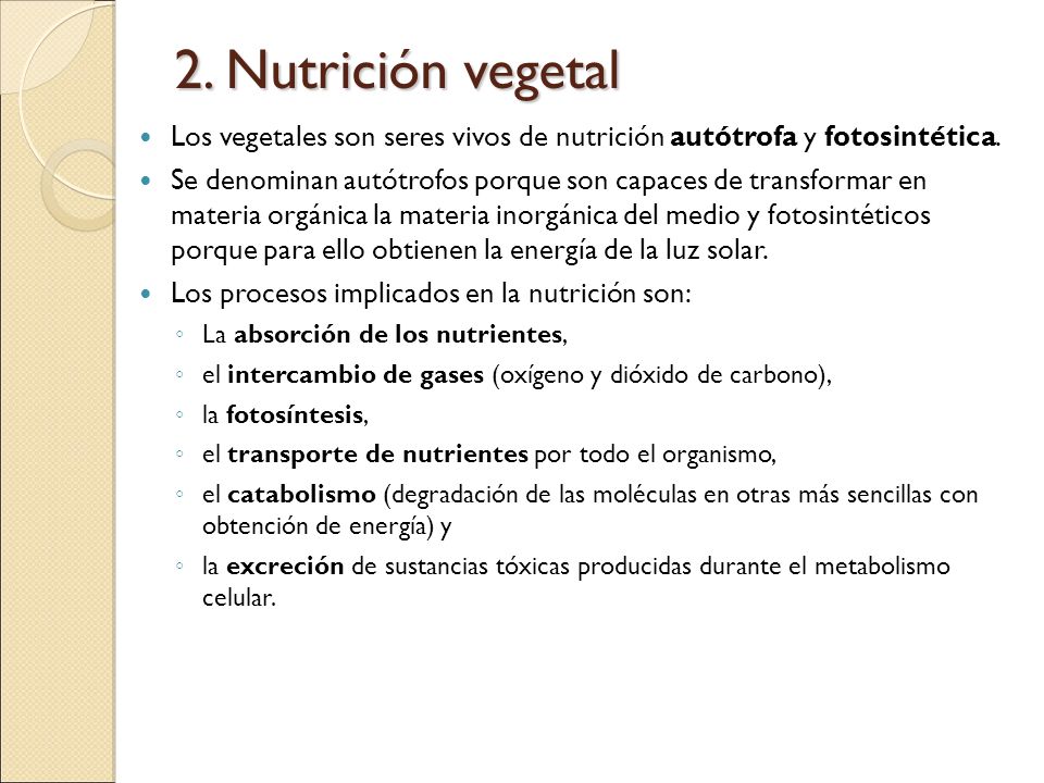 2. Nutrición vegetal Los vegetales son seres vivos de nutrición autótrofa y fotosintética.