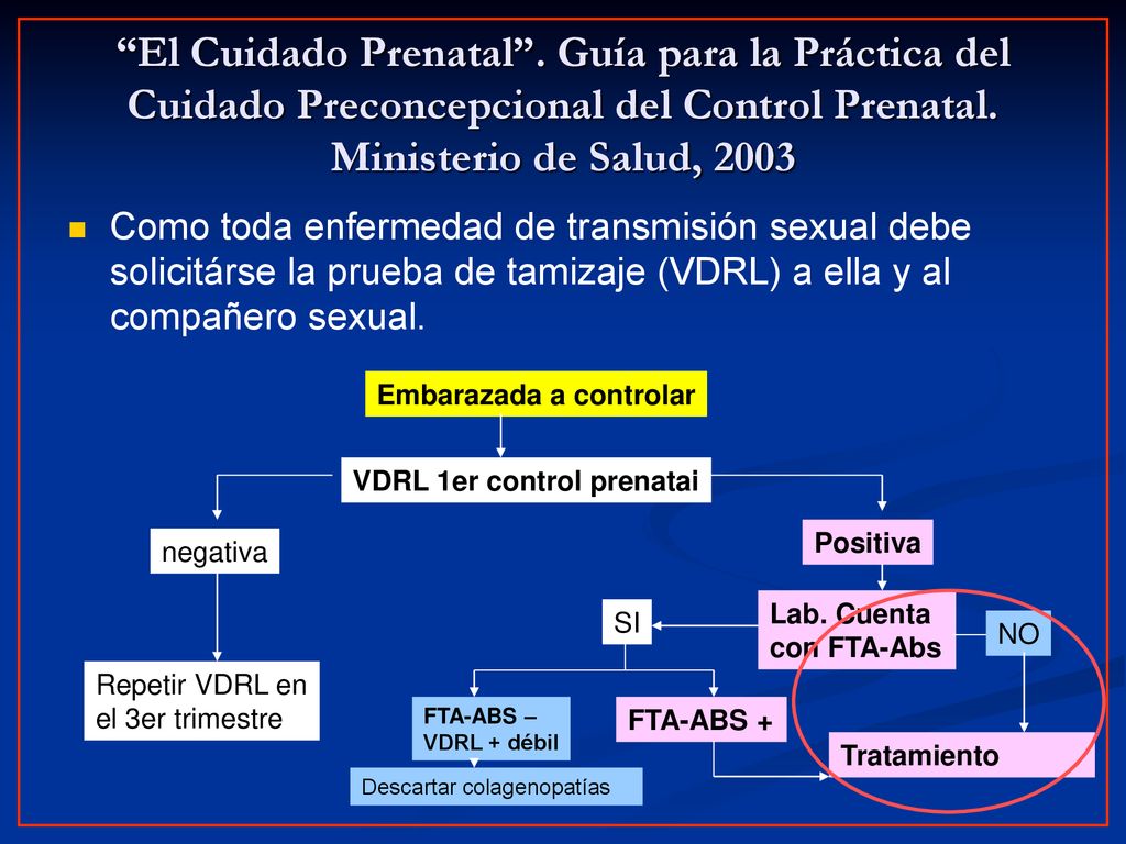 El Cuidado Prenatal . Guía para la Práctica del Cuidado Preconcepcional del Control Prenatal. Ministerio de Salud, 2003
