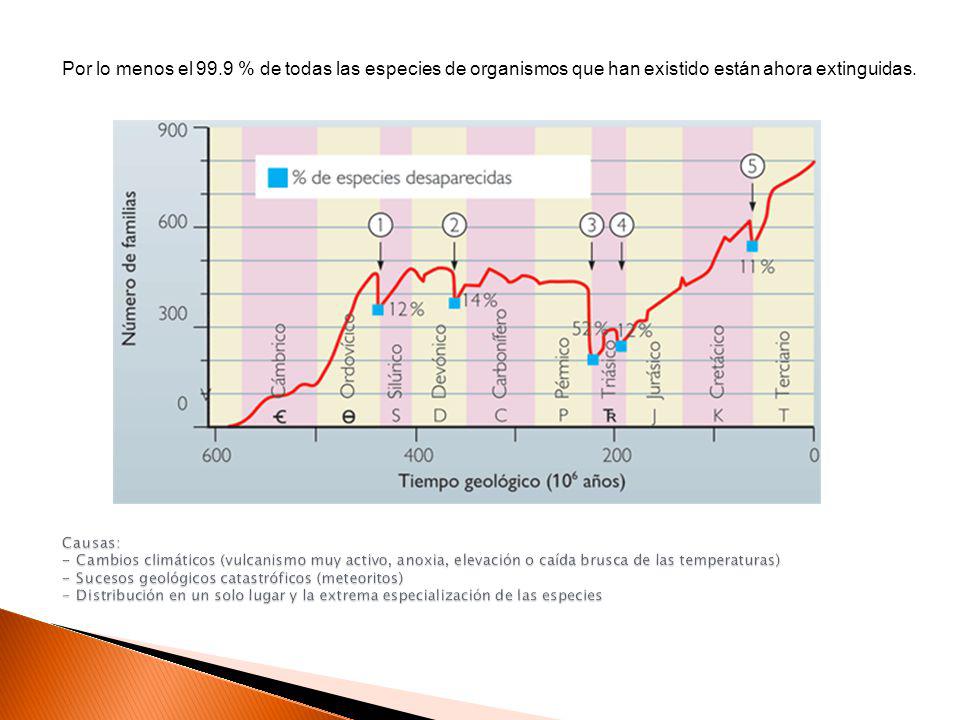 Por lo menos el 99.9 % de todas las especies de organismos que han existido están ahora extinguidas.