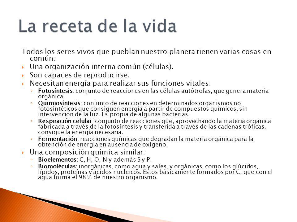 La receta de la vida Todos los seres vivos que pueblan nuestro planeta tienen varias cosas en común: