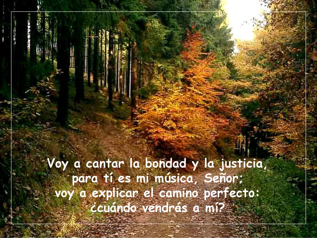 Voy a cantar la bondad y la justicia, para tí es mi música, Señor;