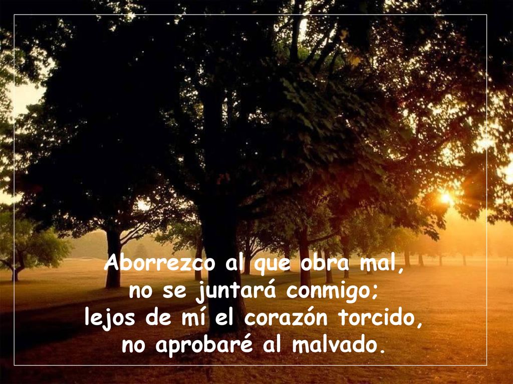 Aborrezco al que obra mal, lejos de mí el corazón torcido,