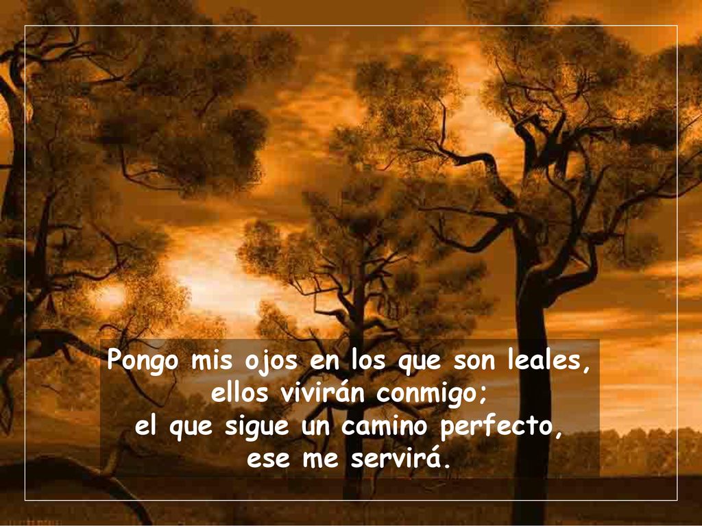 Pongo mis ojos en los que son leales, ellos vivirán conmigo;