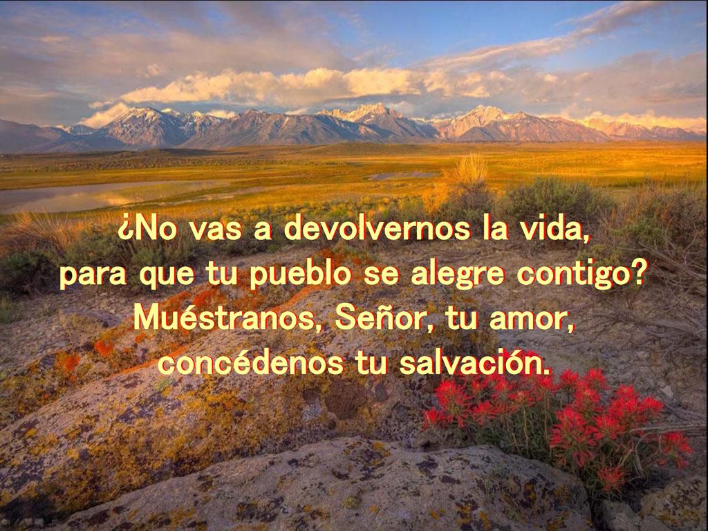 ¿No vas a devolvernos la vida, para que tu pueblo se alegre contigo
