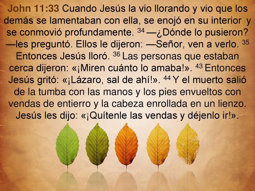 John 11:33 Cuando Jesús la vio llorando y vio que los demás se lamentaban con ella, se enojó en su interior y se conmovió profundamente. 34 —¿Dónde lo pusieron —les preguntó. Ellos le dijeron: —Señor, ven a verlo. 35 Entonces Jesús lloró. 36 Las personas que estaban cerca dijeron: «¡Miren cuánto lo amaba!». 43 Entonces Jesús gritó: «¡Lázaro, sal de ahí!». 44 Y el muerto salió de la tumba con las manos y los pies envueltos con vendas de entierro y la cabeza enrollada en un lienzo. Jesús les dijo: «¡Quítenle las vendas y déjenlo ir!».