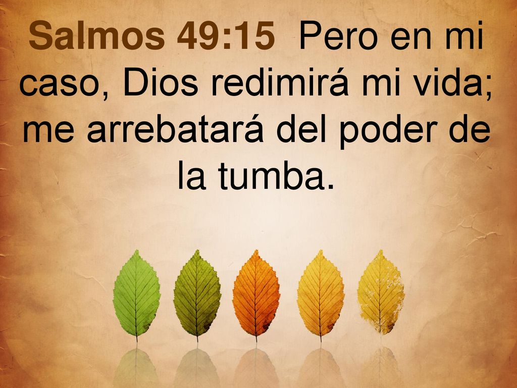 Salmos 49:15 Pero en mi caso, Dios redimirá mi vida; me arrebatará del poder de la tumba.