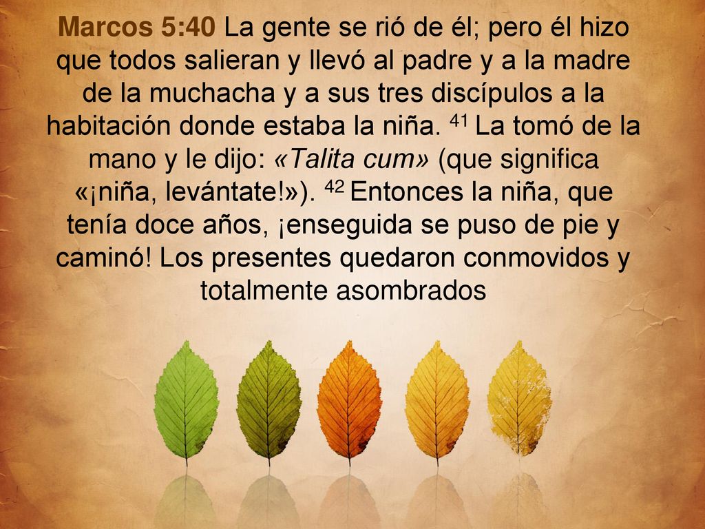 Marcos 5:40 La gente se rió de él; pero él hizo que todos salieran y llevó al padre y a la madre de la muchacha y a sus tres discípulos a la habitación donde estaba la niña.