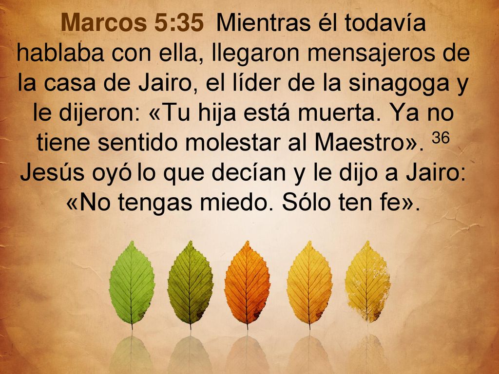 Marcos 5:35 Mientras él todavía hablaba con ella, llegaron mensajeros de la casa de Jairo, el líder de la sinagoga y le dijeron: «Tu hija está muerta.