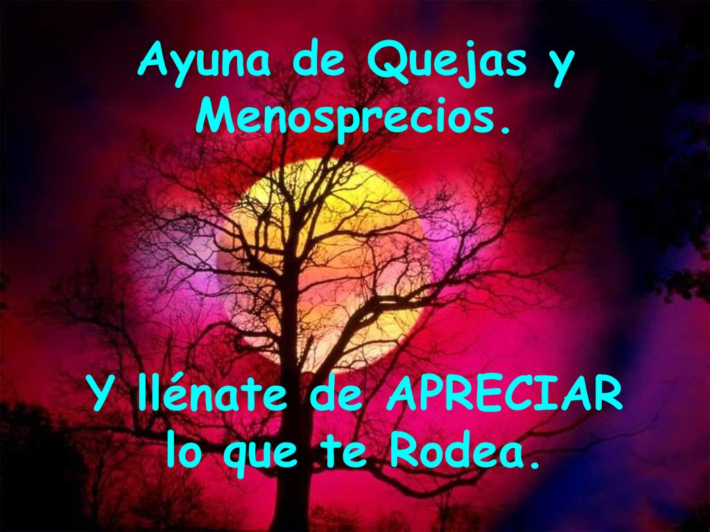 Ayuna de Quejas y Menosprecios. Y llénate de APRECIAR lo que te Rodea.
