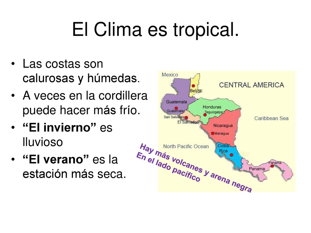 El Clima es tropical. Las costas son calurosas y húmedas.