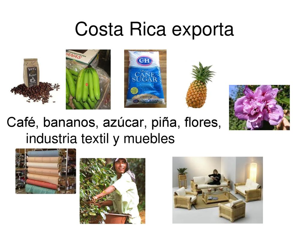 Costa Rica exporta Café, bananos, azúcar, piña, flores, industria textil y muebles