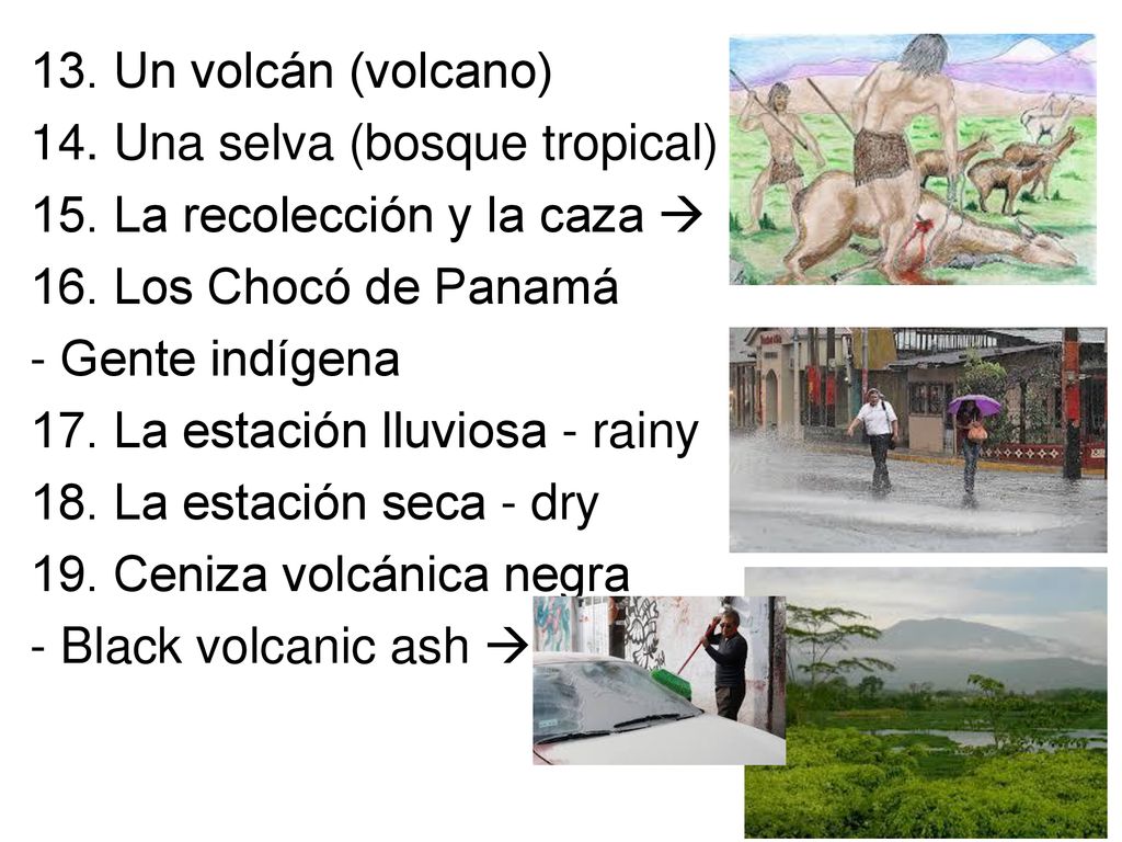 13. Un volcán (volcano) 14. Una selva (bosque tropical) 15