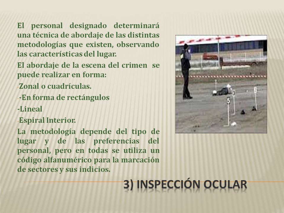 El personal designado determinará una técnica de abordaje de las distintas metodologías que existen, observando las características del lugar.