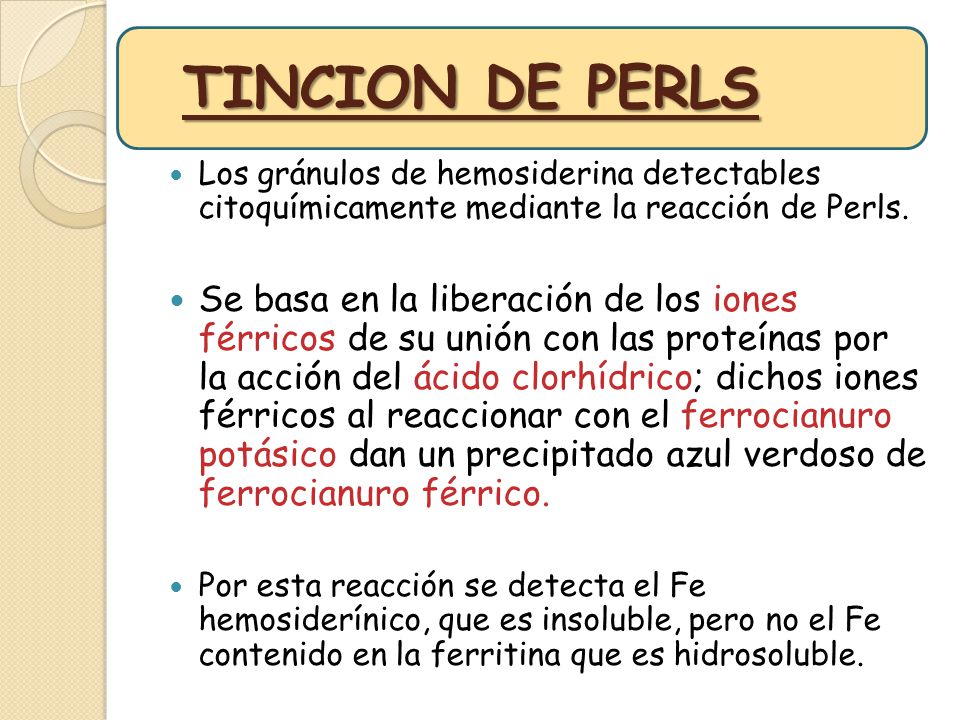 TINCION DE PERLS Los gránulos de hemosiderina detectables citoquímicamente mediante la reacción de Perls.