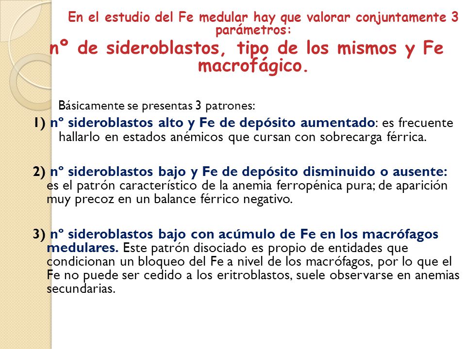 nº de sideroblastos, tipo de los mismos y Fe macrofágico.