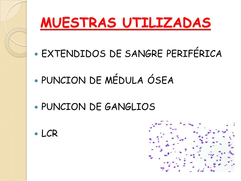 MUESTRAS UTILIZADAS EXTENDIDOS DE SANGRE PERIFÉRICA