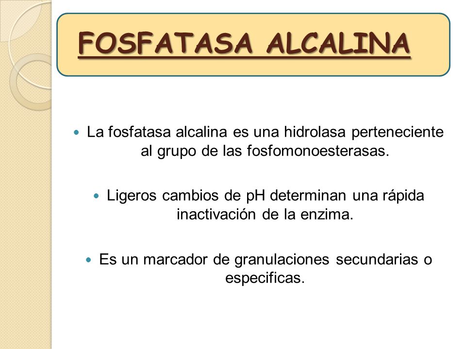 FOSFATASA ALCALINA La fosfatasa alcalina es una hidrolasa perteneciente al grupo de las fosfomonoesterasas.
