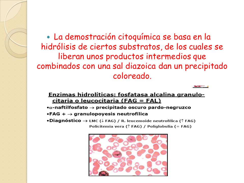 La demostración citoquímica se basa en la hidrólisis de ciertos substratos, de los cuales se liberan unos productos intermedios que combinados con una sal diazoica dan un precipitado coloreado.