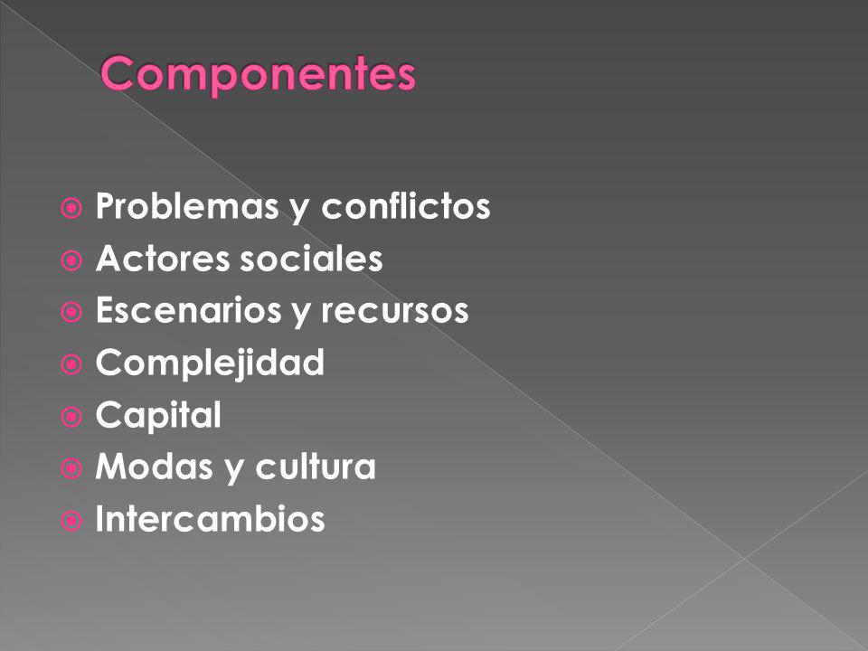 Componentes Problemas y conflictos Actores sociales