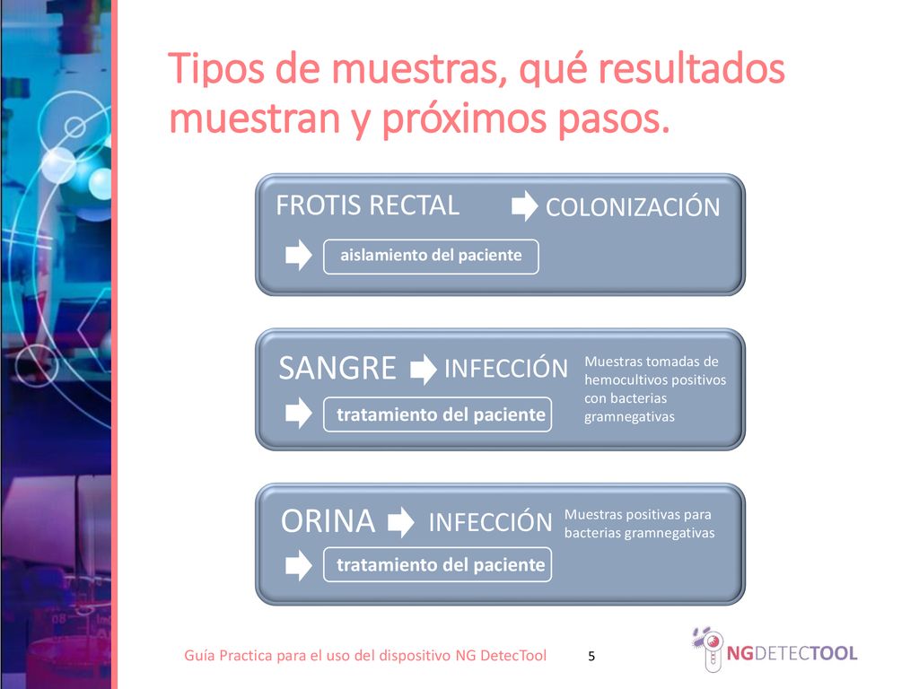 Tipos de muestras, qué resultados muestran y próximos pasos.