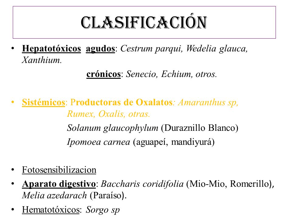 CLASIFICACIÓN Hepatotóxicos agudos: Cestrum parqui, Wedelia glauca, Xanthium. crónicos: Senecio, Echium, otros.