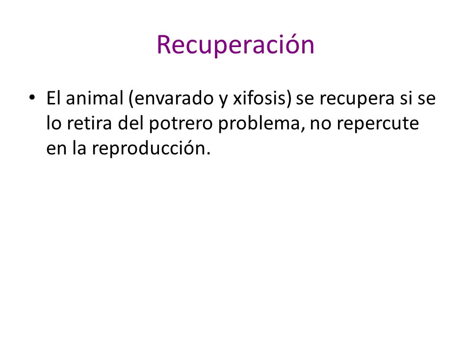 Recuperación El animal (envarado y xifosis) se recupera si se lo retira del potrero problema, no repercute en la reproducción.