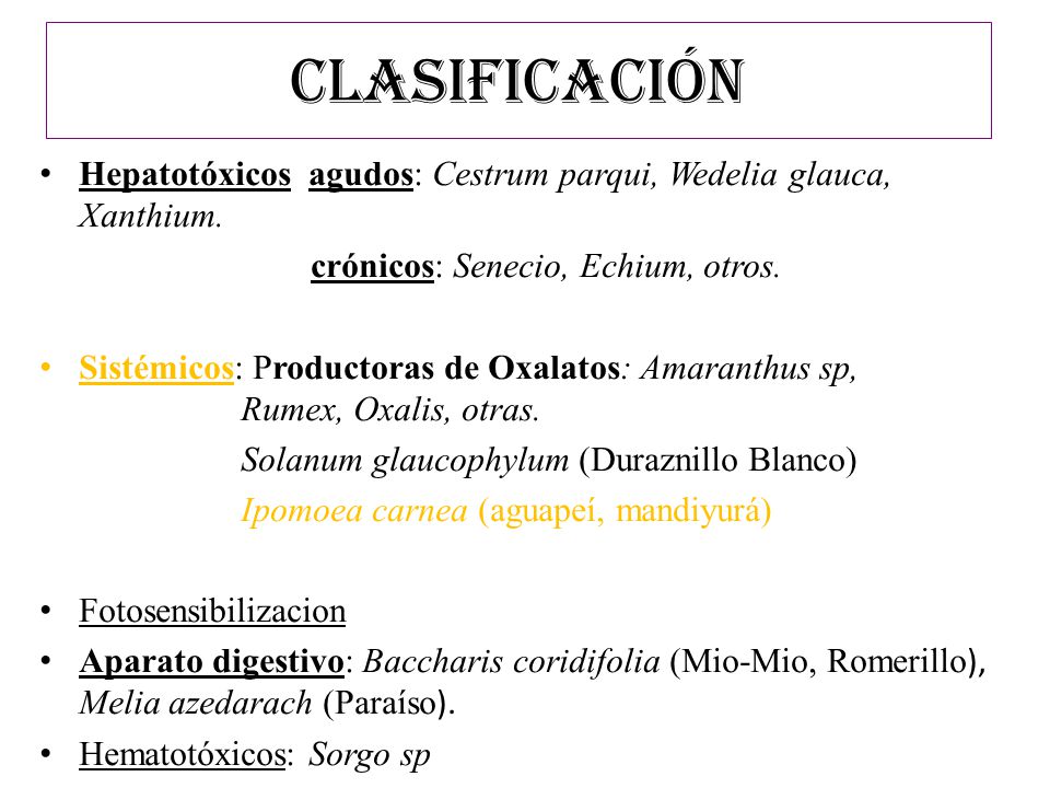 CLASIFICACIÓN Hepatotóxicos agudos: Cestrum parqui, Wedelia glauca, Xanthium. crónicos: Senecio, Echium, otros.