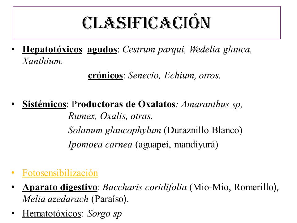 CLASIFICACIÓN Hepatotóxicos agudos: Cestrum parqui, Wedelia glauca, Xanthium. crónicos: Senecio, Echium, otros.