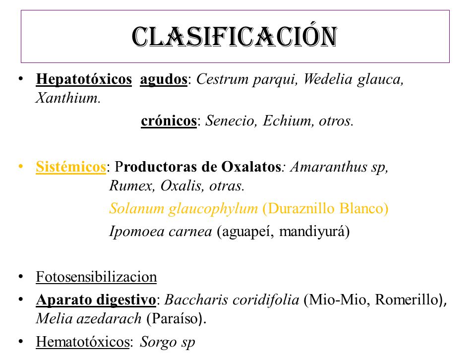 CLASIFICACIÓN Hepatotóxicos agudos: Cestrum parqui, Wedelia glauca, Xanthium. crónicos: Senecio, Echium, otros.