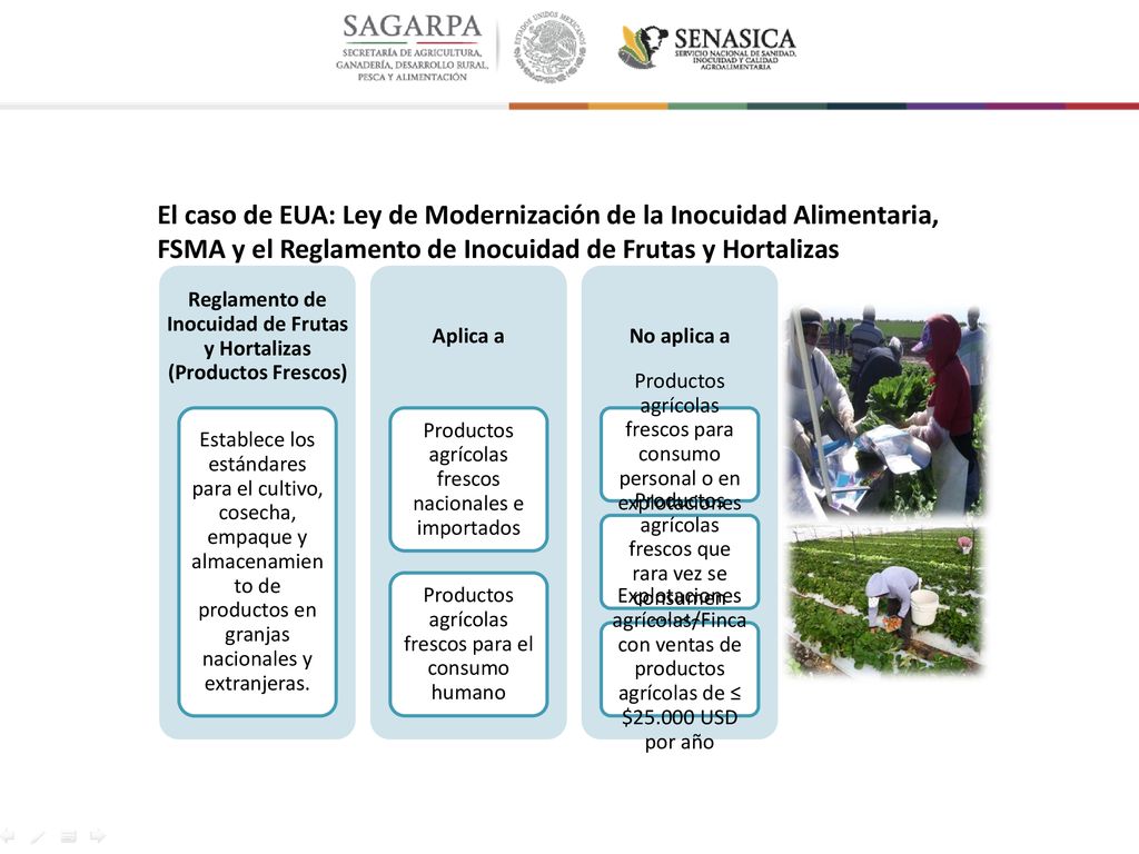 Reglamento de Inocuidad de Frutas y Hortalizas (Productos Frescos)