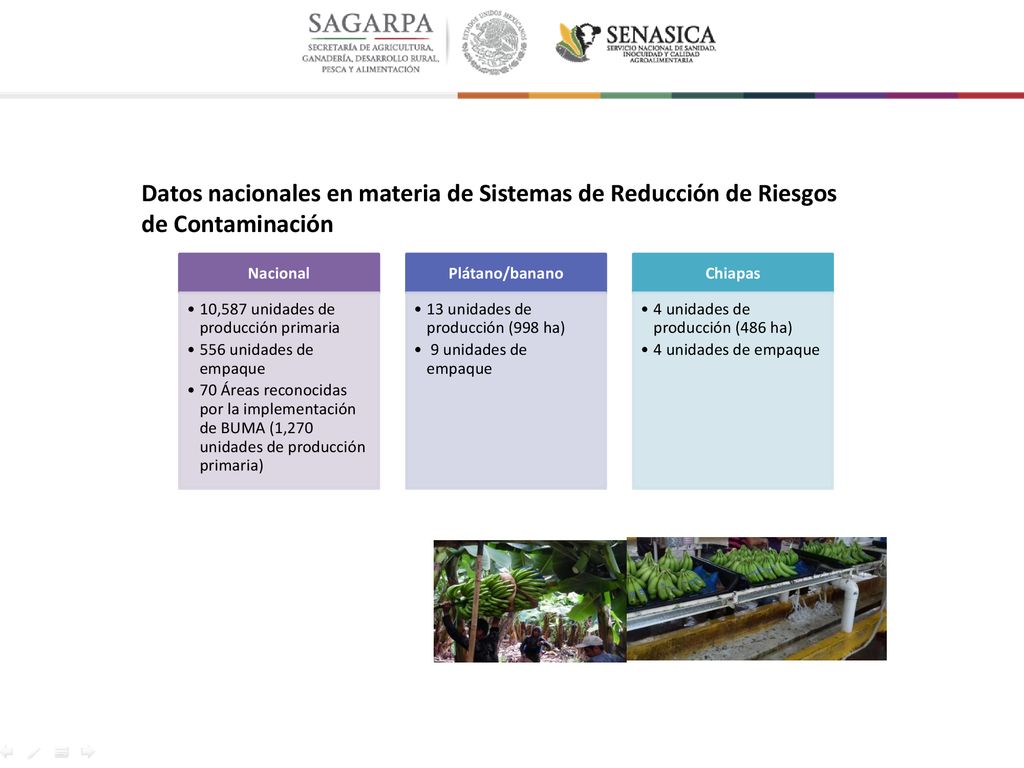 Datos nacionales en materia de Sistemas de Reducción de Riesgos de Contaminación