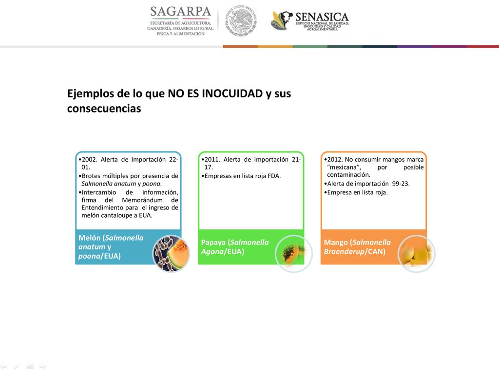 Ejemplos de lo que NO ES INOCUIDAD y sus consecuencias
