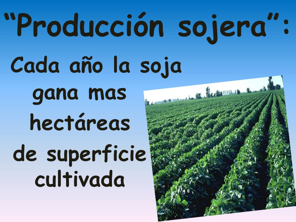 Cada año la soja gana mas hectáreas de superficie cultivada