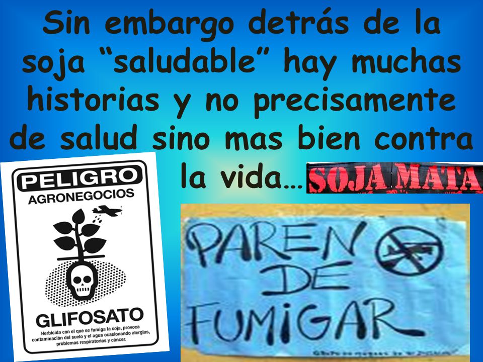 Sin embargo detrás de la soja saludable hay muchas historias y no precisamente de salud sino mas bien contra la vida…