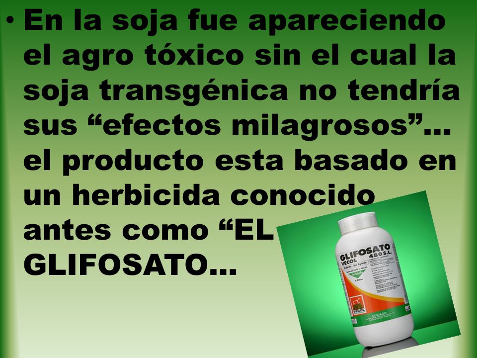 En la soja fue apareciendo el agro tóxico sin el cual la soja transgénica no tendría sus efectos milagrosos … el producto esta basado en un herbicida conocido antes como EL GLIFOSATO…