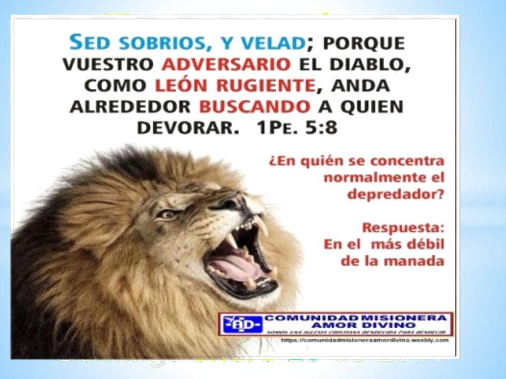 Tema para hoy: ESCOGIDOS PARA SER BENDECIDOS Domingo enero 20 de 2019